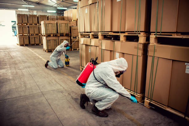 Best Rat Extermination Near Me  in Port Wentworth, GA