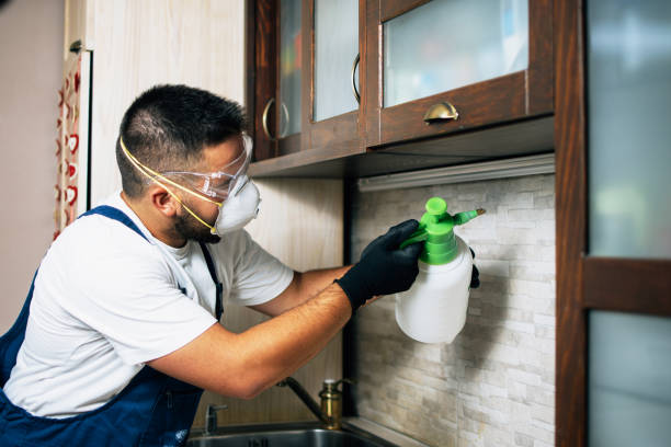 Best Local Pest Control Services  in Port Wentworth, GA