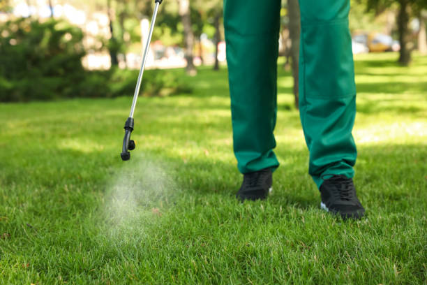 Best Termite Control Services  in Port Wentworth, GA