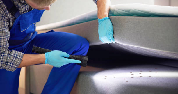 Best Emergency Pest Control  in Port Wentworth, GA