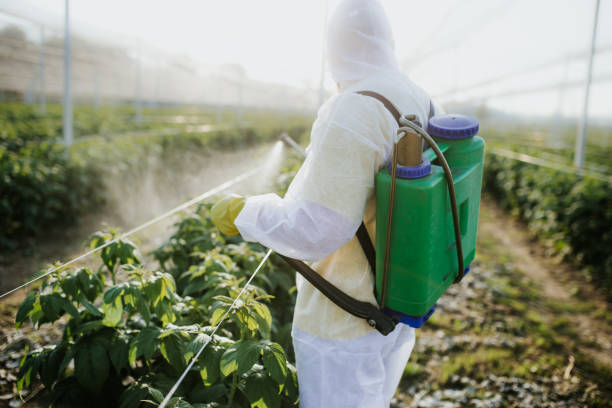 Best Residential Pest Control  in Port Wentworth, GA